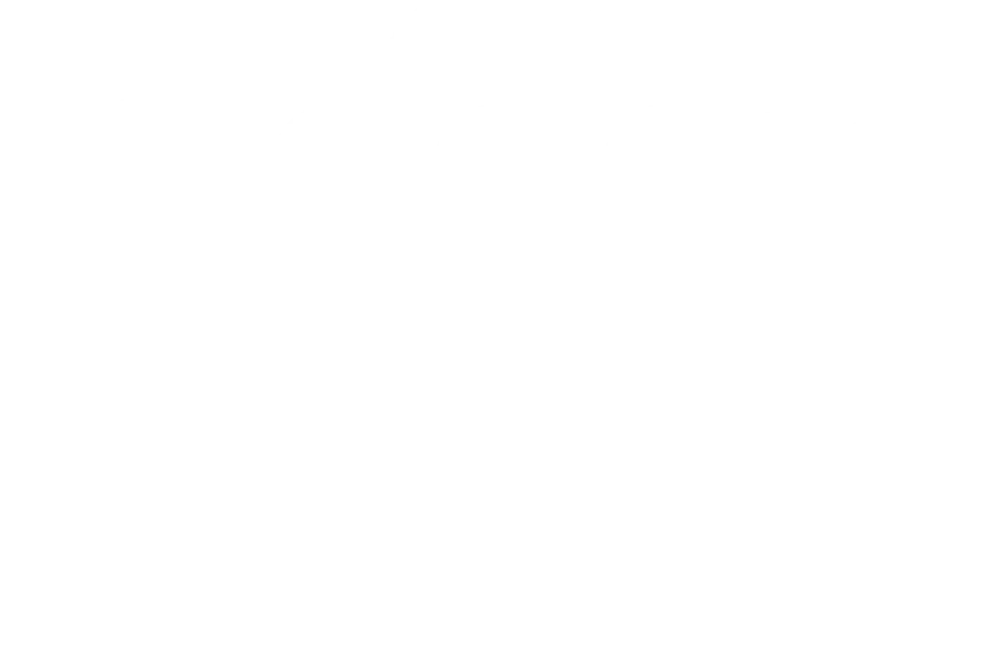 VERTICAL BRANCO PROGRAMA